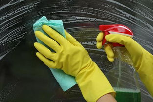 為什么要請家政 給那些不理解的人看